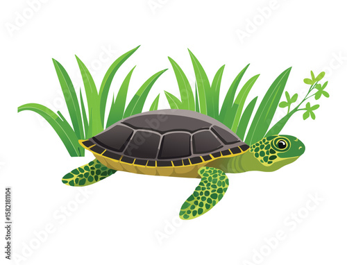 Happy Turtle on Land with Green Grass