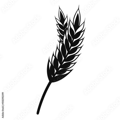 A simple black silhouette of a wheat stalk with grains shown from the side isolated on white background