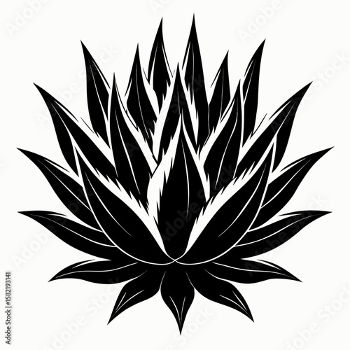 Silhouette of a spiky agave plant with sharp leaves isolated on white background