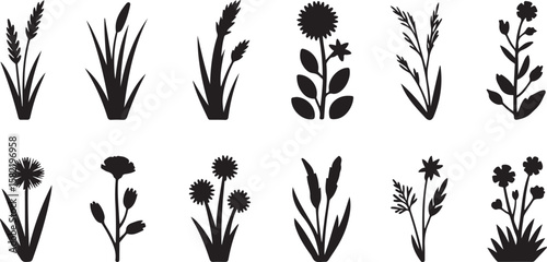 Vector art of collection of various plants and flowers isolated on white