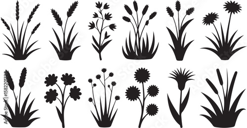 Vector art of collection of silhouette plants and grasses on white background
