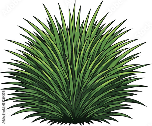 Vector art of green grassy bush isolated on a white background