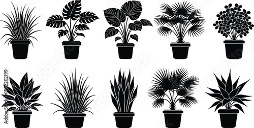 Potted plant silhouette collection, various houseplants in pots, botanical black vector illustrations for decoration, garden, or interior design