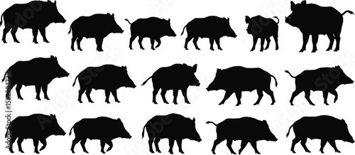 Silhouettes of wild boars in various poses, walking and standing animals, vector collection of wild pigs and hog illustrations