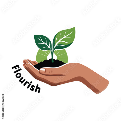 hand holding a plant