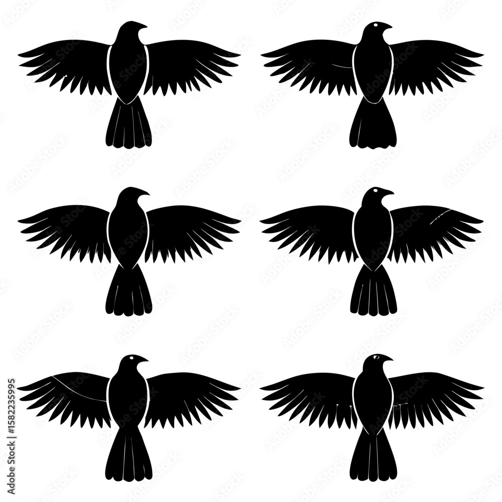 Obraz premium Black silhouette birds flying in formation wings spread