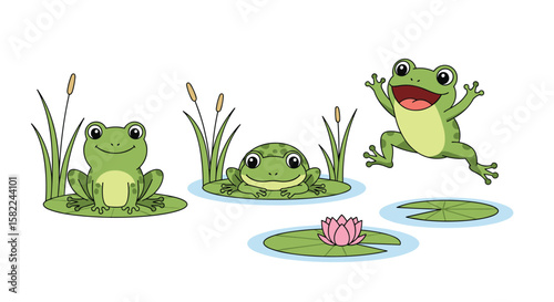 Three happy frogs enjoying a sunny day in the water lily pond