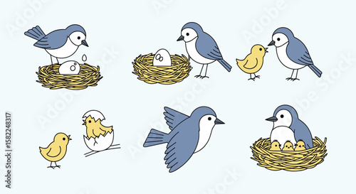 Baby birds hatching and growing in their cozy nest environment