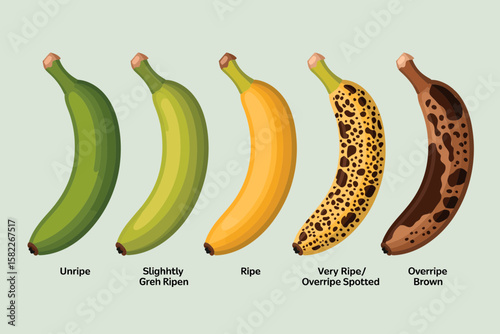 Illustration depicting five bananas in varying stages of ripeness, from green and unripe to brown and overripe, against a light background.