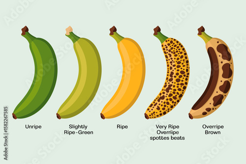 Illustration of five bananas showing different stages of ripeness, from unripe green to overripe brown with spots.