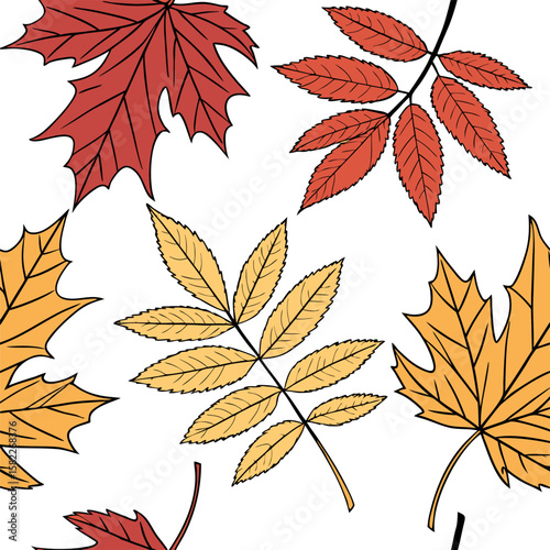 Illustration of autumn leaves including maple and rowan in red and yellow colors with black outlines