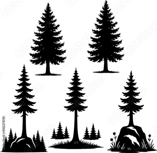 Pine trees in black and white silhouette asset with white background 