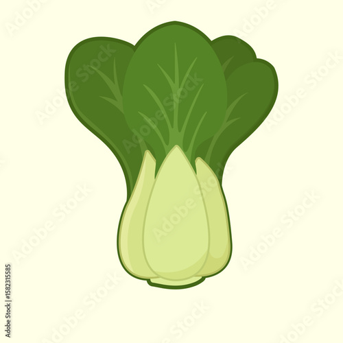 A vibrant cartoon illustration of a fresh, green bok choy vegetable, isolated on a light background.