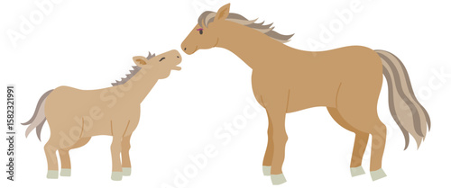 Vector illustration of a horse parent and foal with brown coat