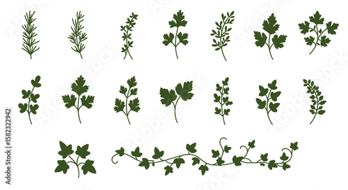Herb silhouette collection: parsley, rosemary, and thyme leaves