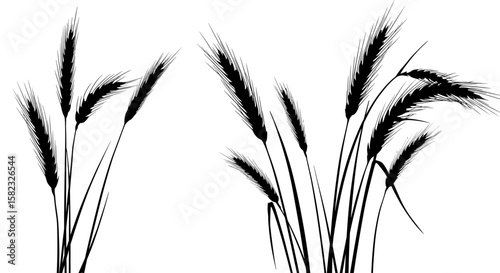 Silhouette of wheat ears on white background perfect for nature themes