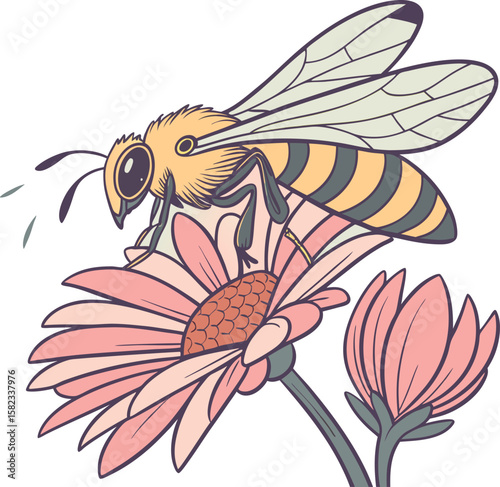 a close up of a drawing of a bee on a flower, hyperdetailed illustration, detailed vectorart, adobe illustrator art, adobe ilustrator, clean cel shaded vector art, hyper detailed illustration, highly 