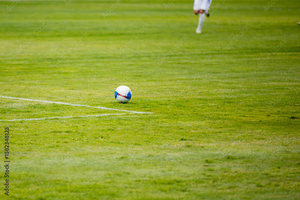 Obraz premium Ball on the grass of a football stadium