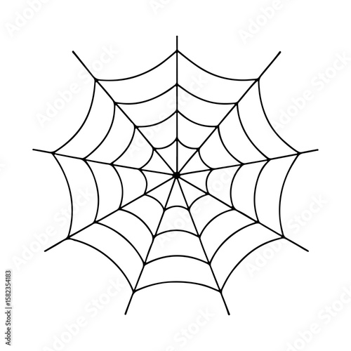 Spider web isolated on white vector