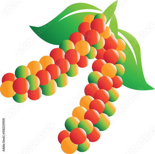 Unripe white pepper - vektor