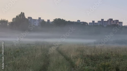 Morning fog in the field and spiderwebs on the plants
