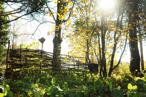 city park without people on an autumn day, bright rays of the sun shine through the crowns of maple trees
