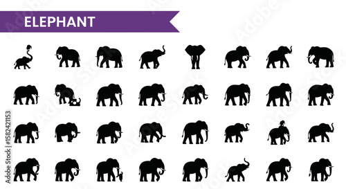 Elephant Silhouette Icons Set: Wildlife, Wisdom & African Safari Symbols