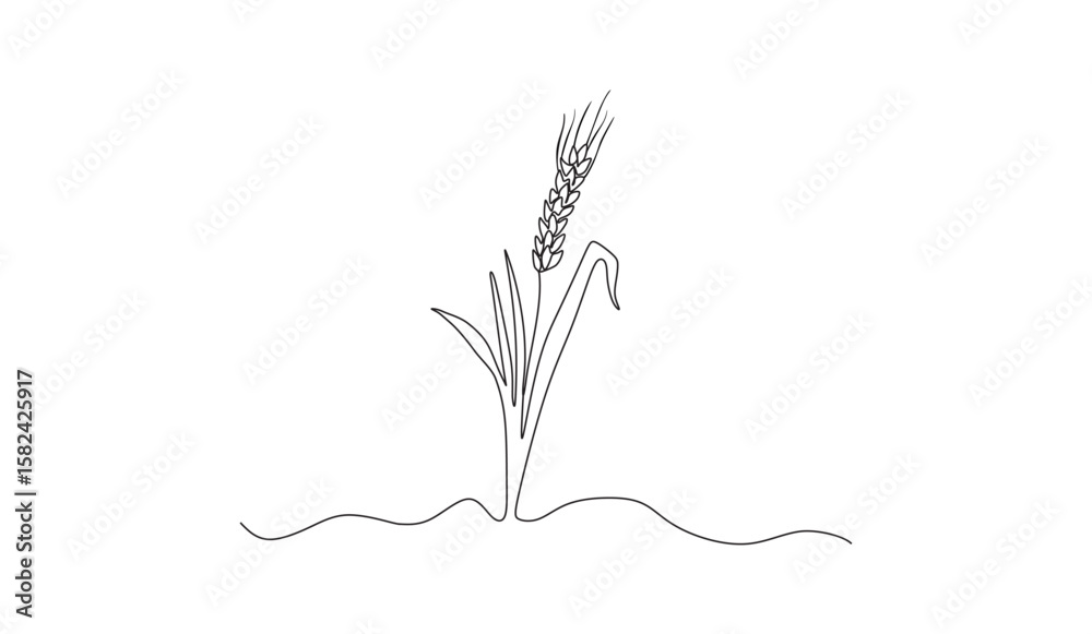 Fototapeta premium wheat plant vector illustration