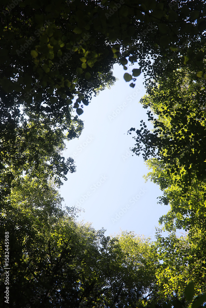 Fototapeta premium The sky is blue with clouds, beautiful by nature.