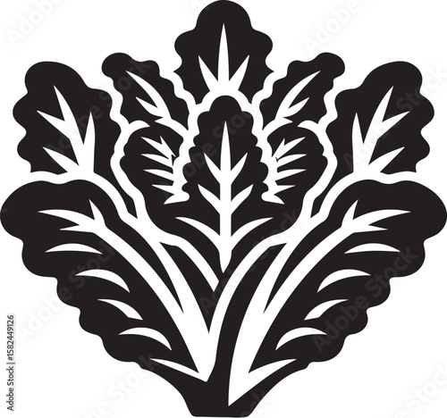 Bell Lettuce vegetable illustration