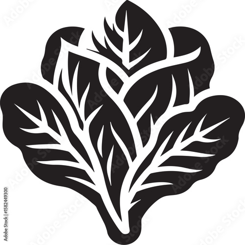 Bell Lettuce vegetable illustration