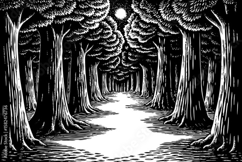 A dense forest pathway under moonlight with towering trees, glowing fireflies and misty air, represented in mystical black and white line art illustration for magical nighttime scenes