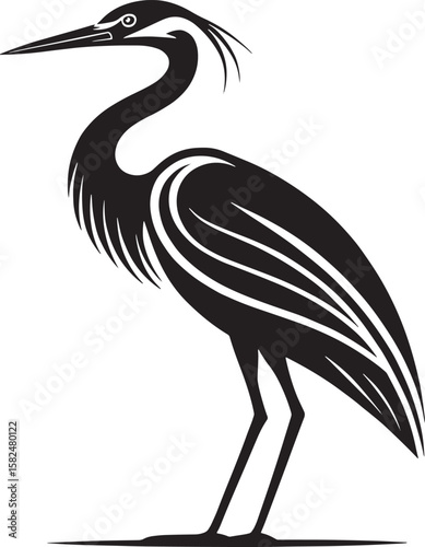 Elegant black heron standing bird white