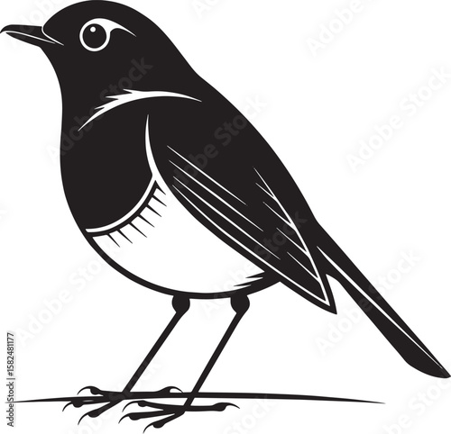 Black bird perched on a thin line white avian