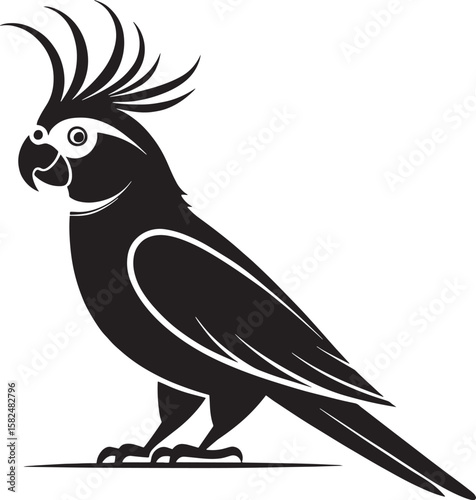 Black cockatoo bird crest feathers parrot