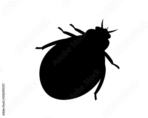 Silhouette of a Bed Bug A Pest Control and Public Health Concern