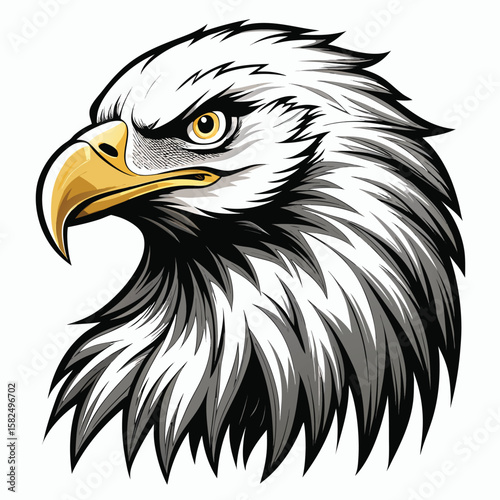 American bald eagle vector portrait: a majestic symbol of freedom, wild nature, and a powerful bird of prey