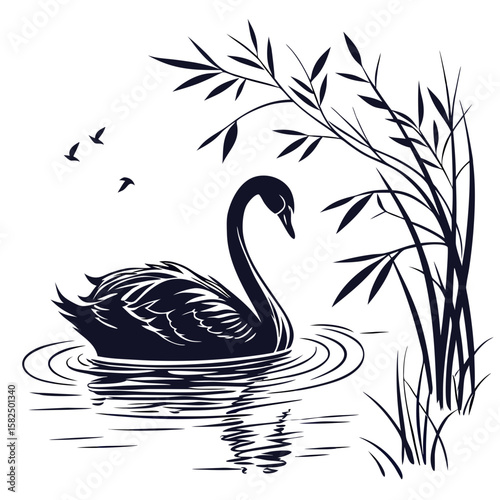 swans on the lake