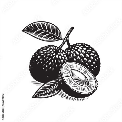 Black and White Lychee Fruit Illustration with Leaf and Slice