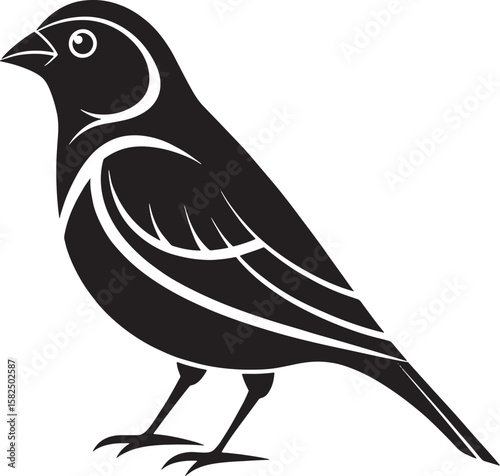 vector illustration of a bird