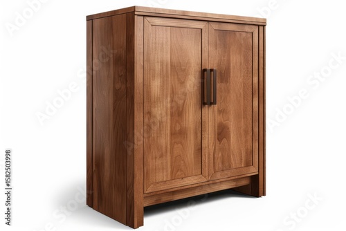 Wooden cabinet with double doors and sleek handles in a minimalist design