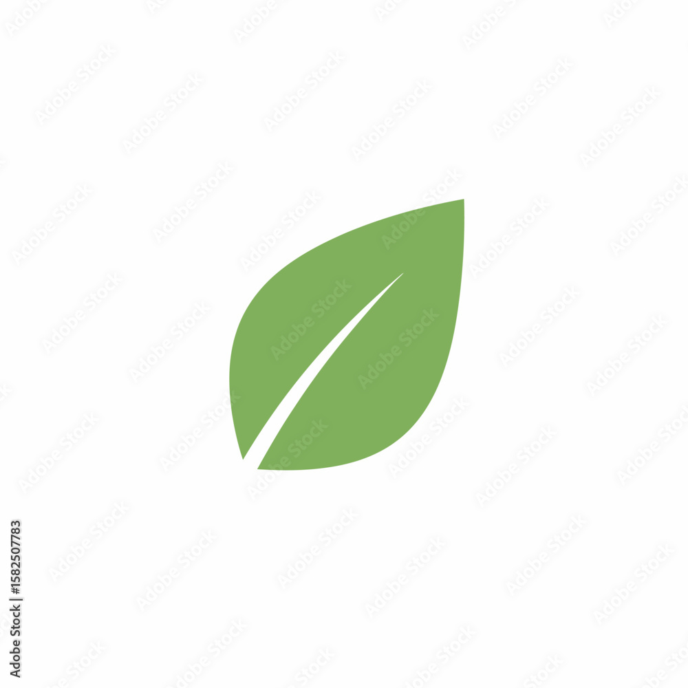 A single, simple green leaf with a prominent vein, isolated on a white background. A single, simple green leaf with a prominent vein, isolated on a white background.