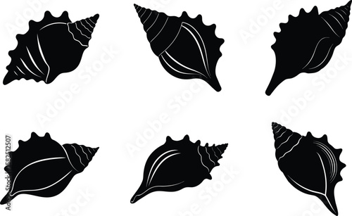 Conch Snail And Conch Snail Silhouette Vector Illustration