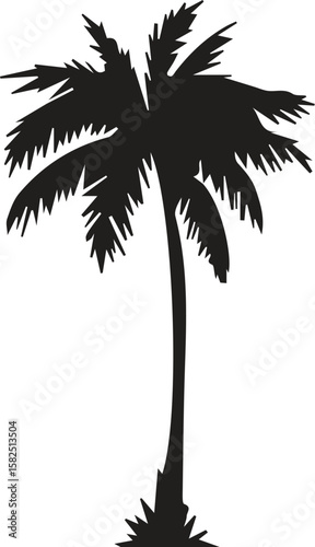 Palm tree icon. Black coconut silhouette palm isolated on white background.