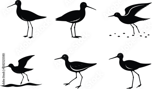 Sandpiper Silhouette Vector Illustration Set