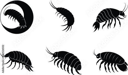 Silhouette Amphipod Vector Illustration Set