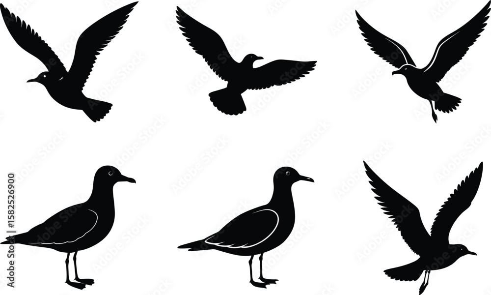 Obraz premium Seagull Soaring Silhouette Vector Illustration Set