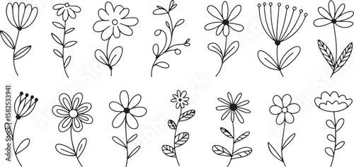 Hand drawn flower sketches on white