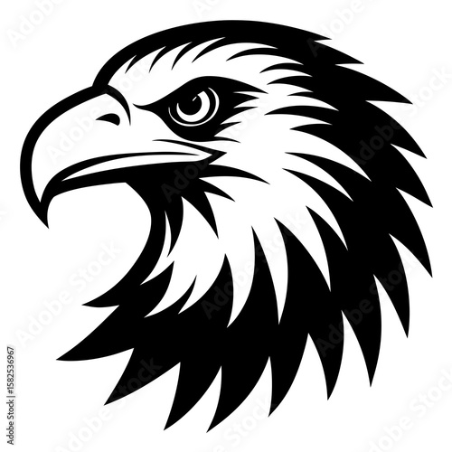 eagle head vector illustration