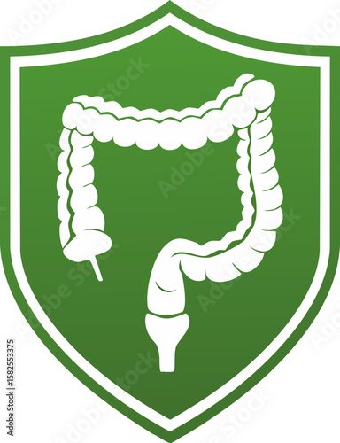 Intestine Protection Icon – Green Shield Digestive System Health Illustration